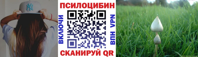 Галлюциногенные грибы Cubensis  Иннополис 